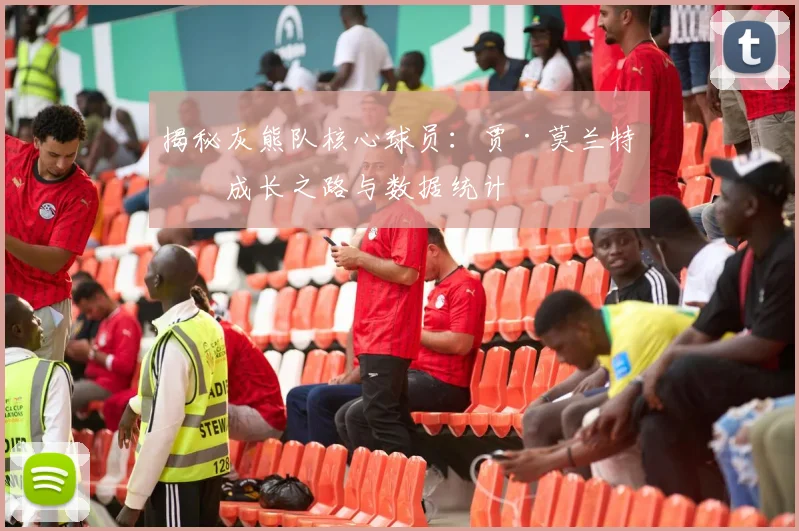 揭秘灰熊队核心球员：贾·莫兰特的成长之路与数据统计