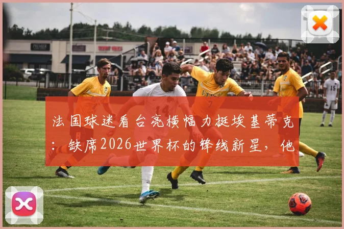 法国球迷看台亮横幅力挺埃基蒂克：缺席2026世界杯的锋线新星，他的伤情与未来何去何从？